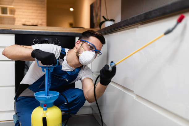 Best Mosquito Control Services  in Okemos, MI