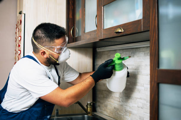 Best Pest Control Treatment  in Okemos, MI