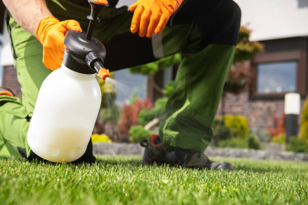 Best Emergency Pest Control  in Okemos, MI