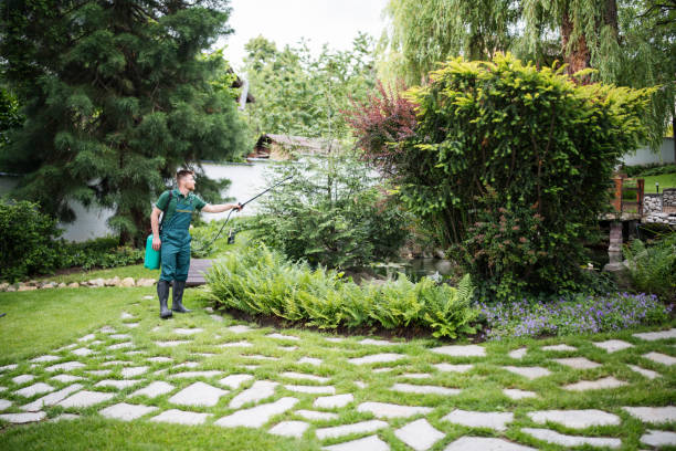 Best Local Pest Control Services  in Okemos, MI