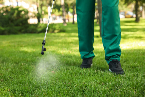 Best Flea Control Services  in Okemos, MI