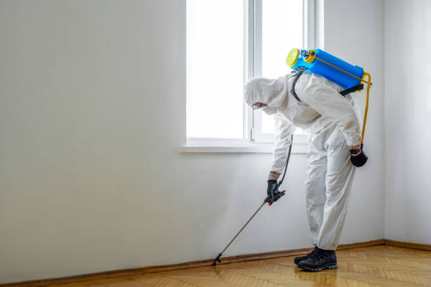 Best Wildlife Control Services  in Okemos, MI