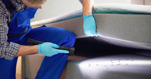 Best Exterminator Services  in Okemos, MI