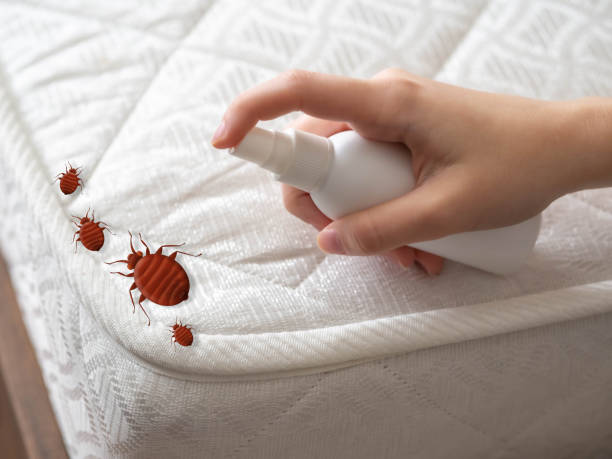  Okemos, MI Pest Control Pros