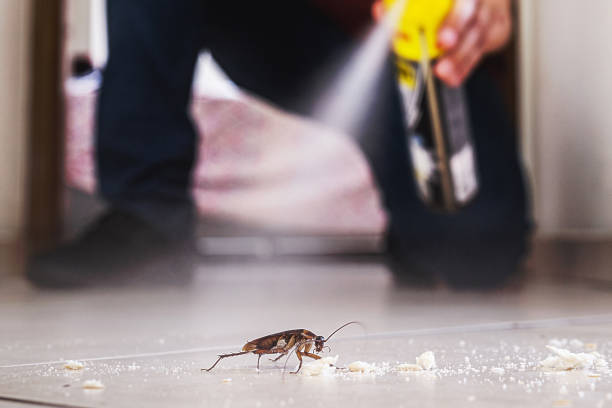 Best Best Pest Control Companies  in Okemos, MI