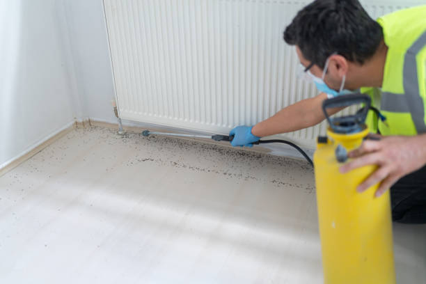 Best Pest Prevention Services  in Okemos, MI